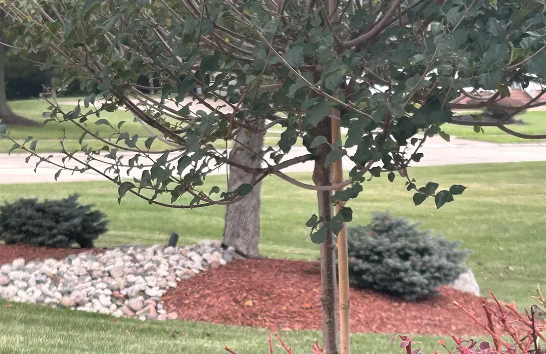 Custom Landscape Contractors