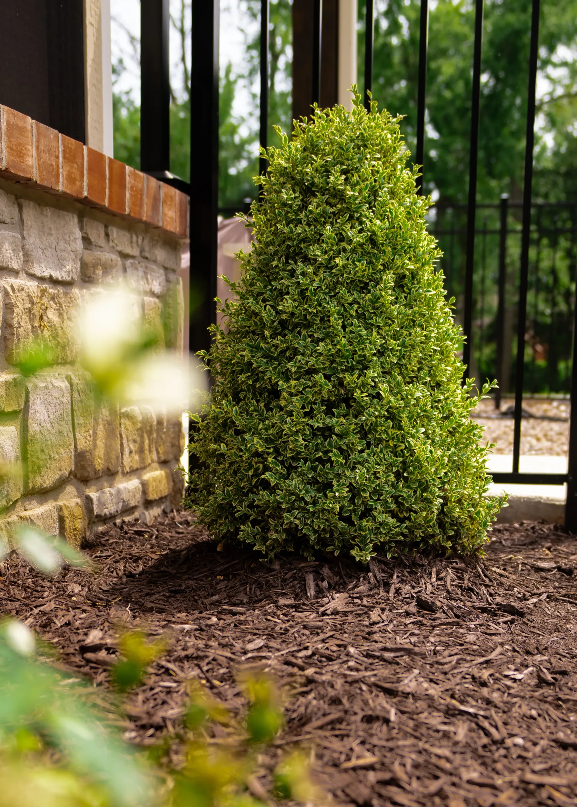 LANDSCAPING SUPPLIES