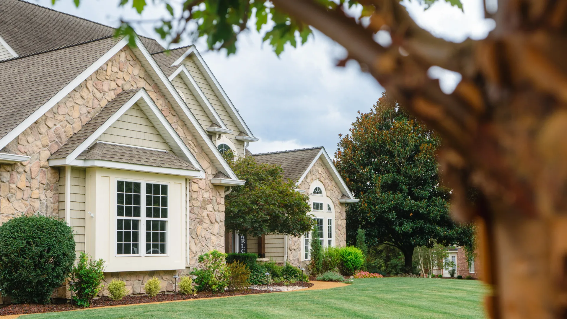 Lawn Aeration and Overseeding