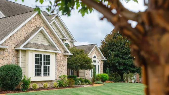 Lawn Aeration and Overseeding