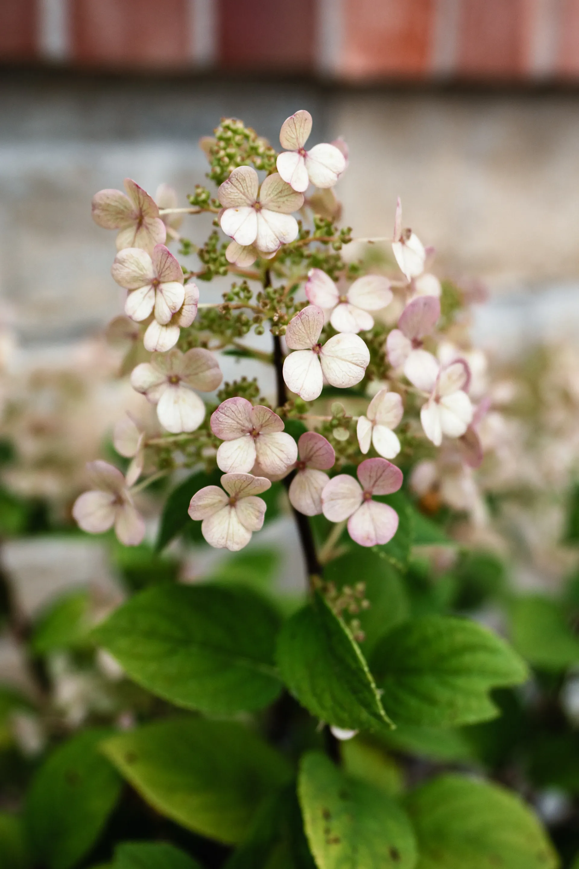 Our Story: Where Passion Meets Purpose