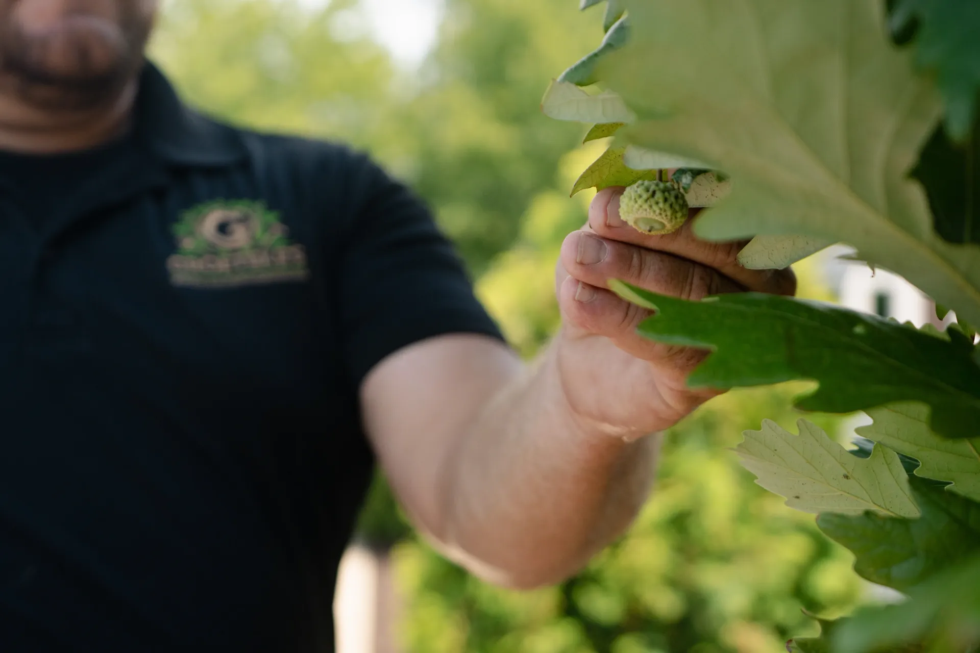 Plant Installation & Nursery Services