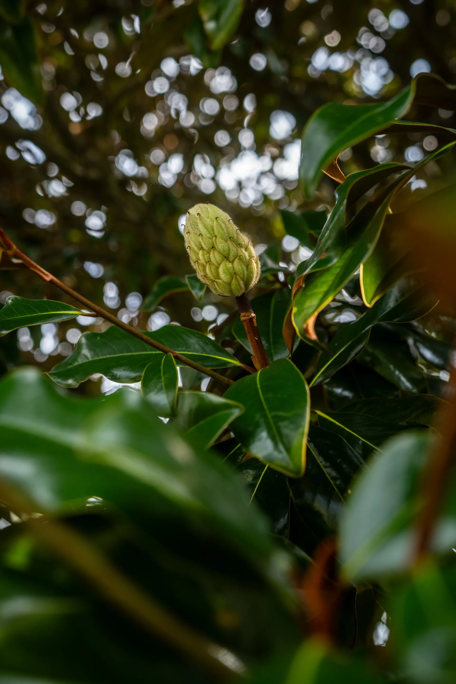 RETAINING WALL BUILDERS NEAR ME