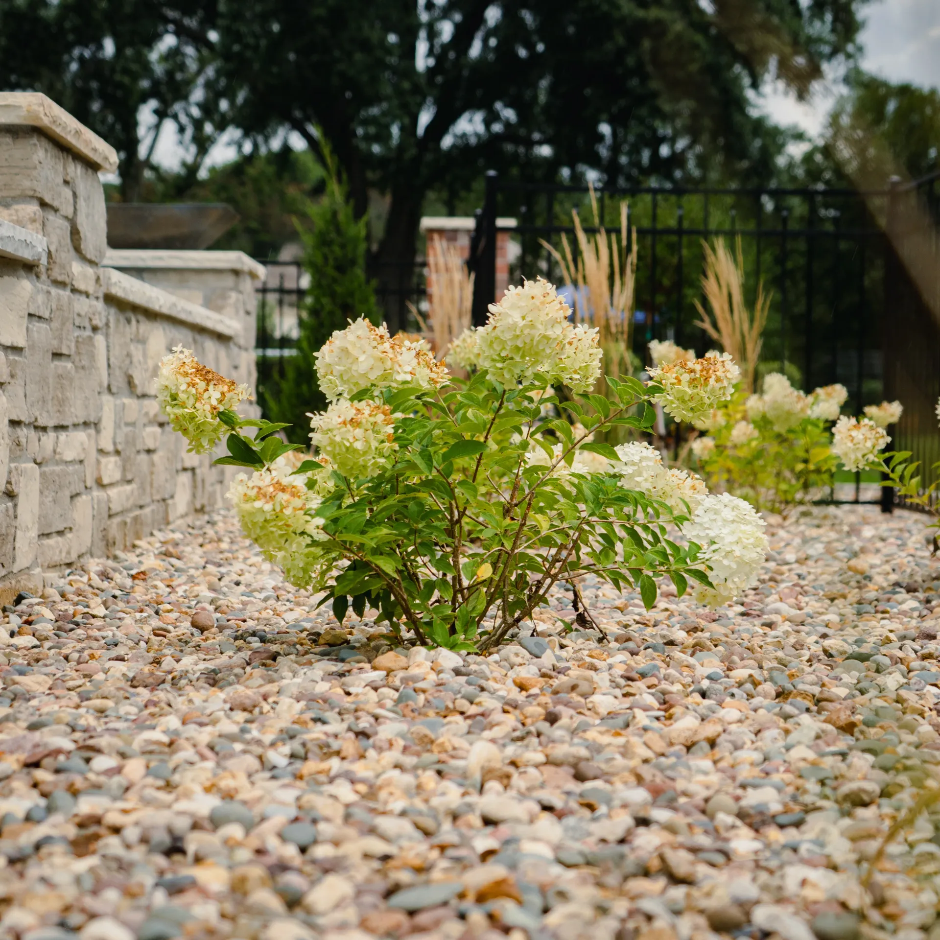 Ready to Love Your Outdoor Space?