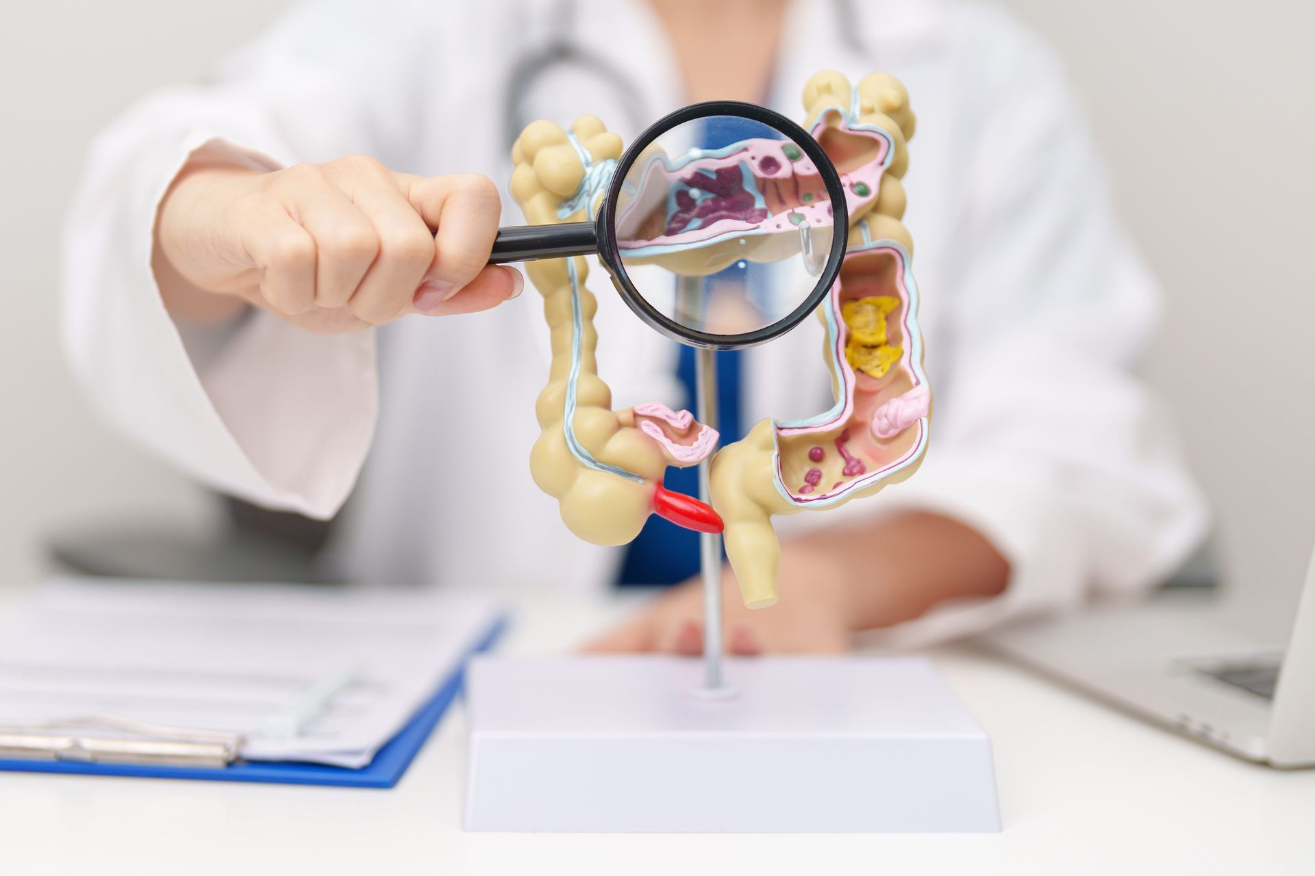 Doctor examining a colon model with a magnifying glass at a desk