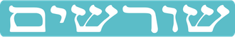 שורשים נדל