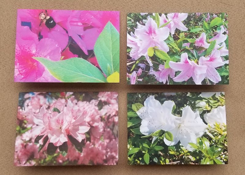 Greeting cards