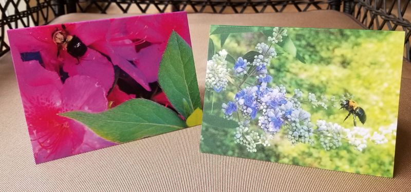 Greeting cards