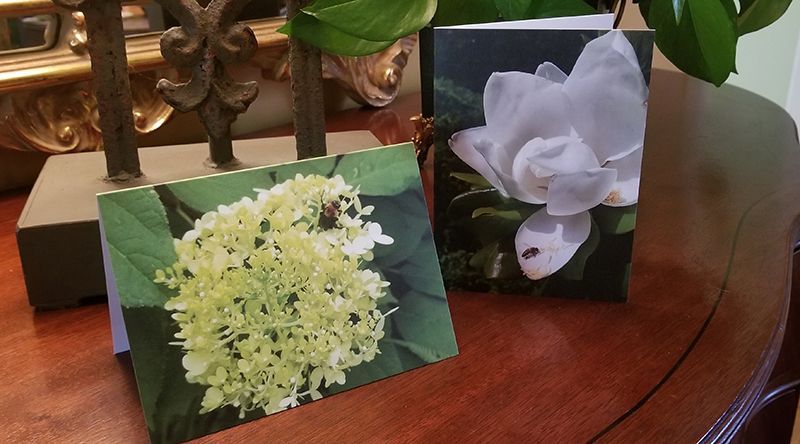 Greeting cards