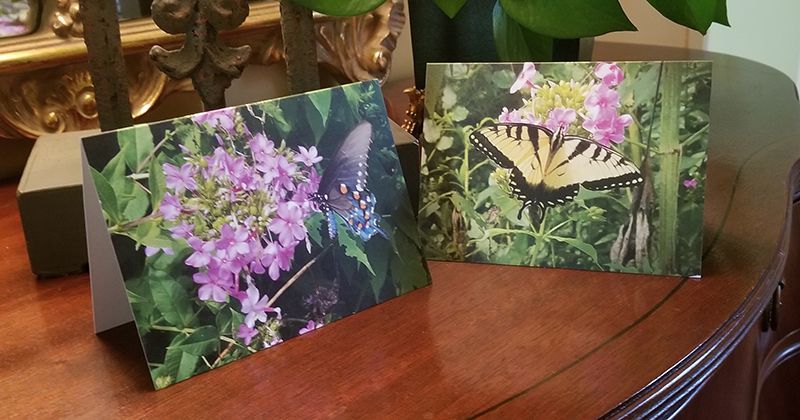 Greeting cards