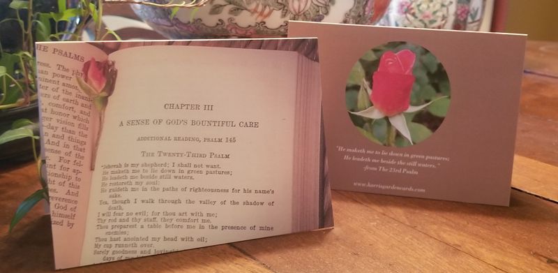 Greeting cards