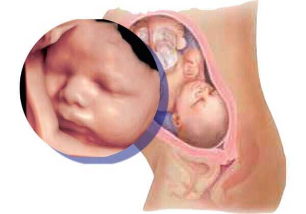Medicina Fetal Avanzada –