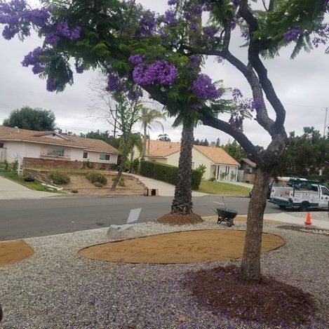 Tree Service — Beautiful Backyard Landscape in La Habra, CA