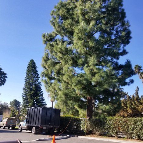 Sprinklers — Tree Service in La Habra, CA