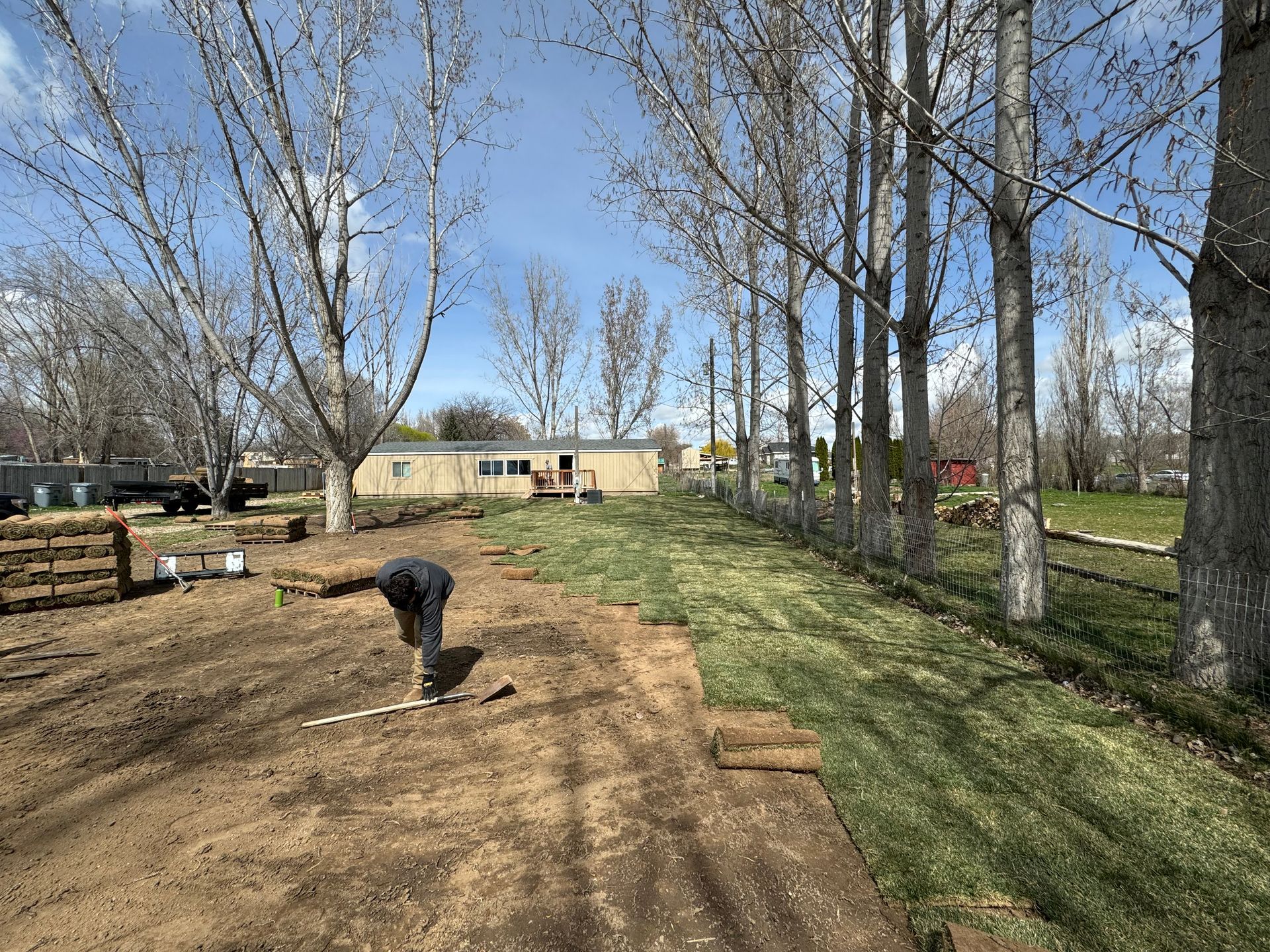 A man is laying sod in a yard next to trees.