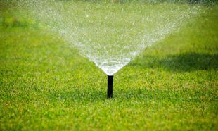 Sprinkler watering green grass on a sunny day.