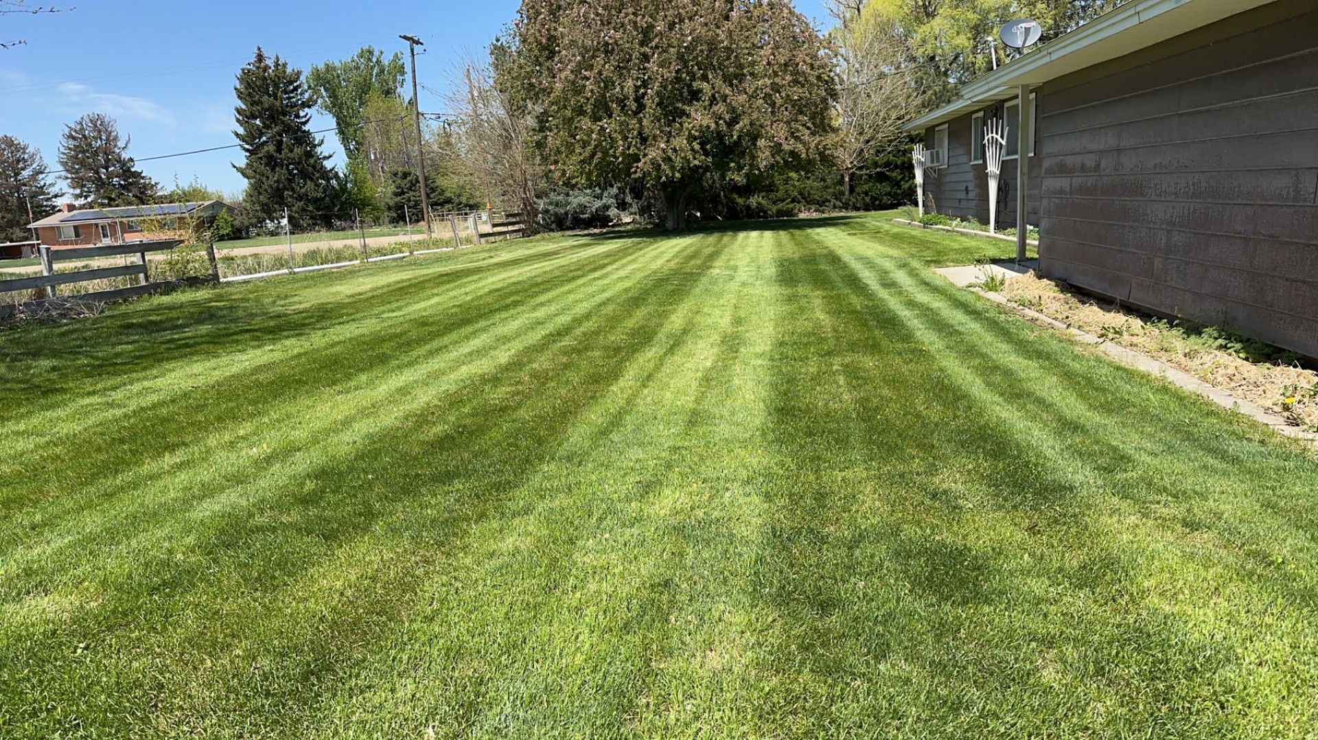 A lush green lawn is being mowed in front of a house.