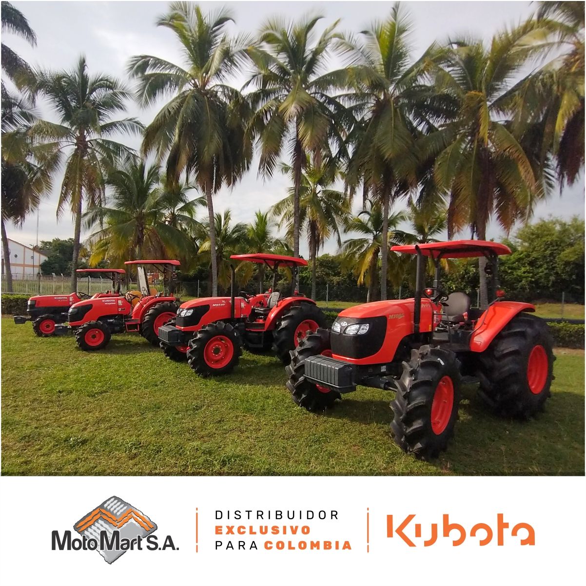 Tractores Kubota rojos estacionados en el césped bajo palmeras.