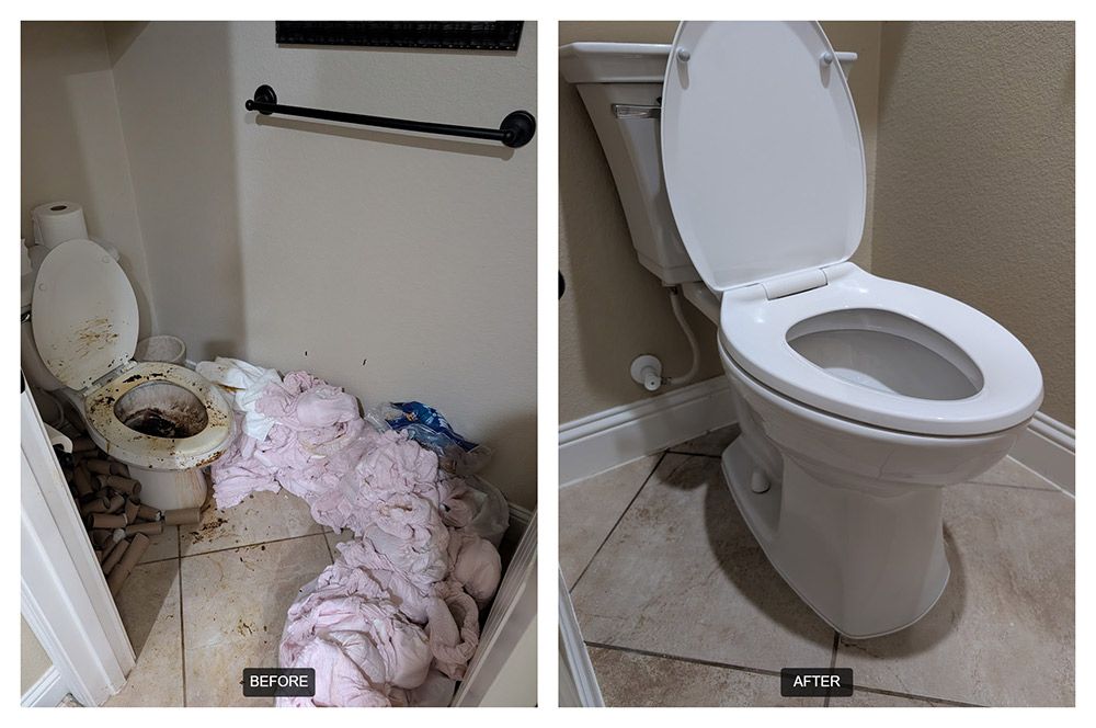 before and after biohazard restoration