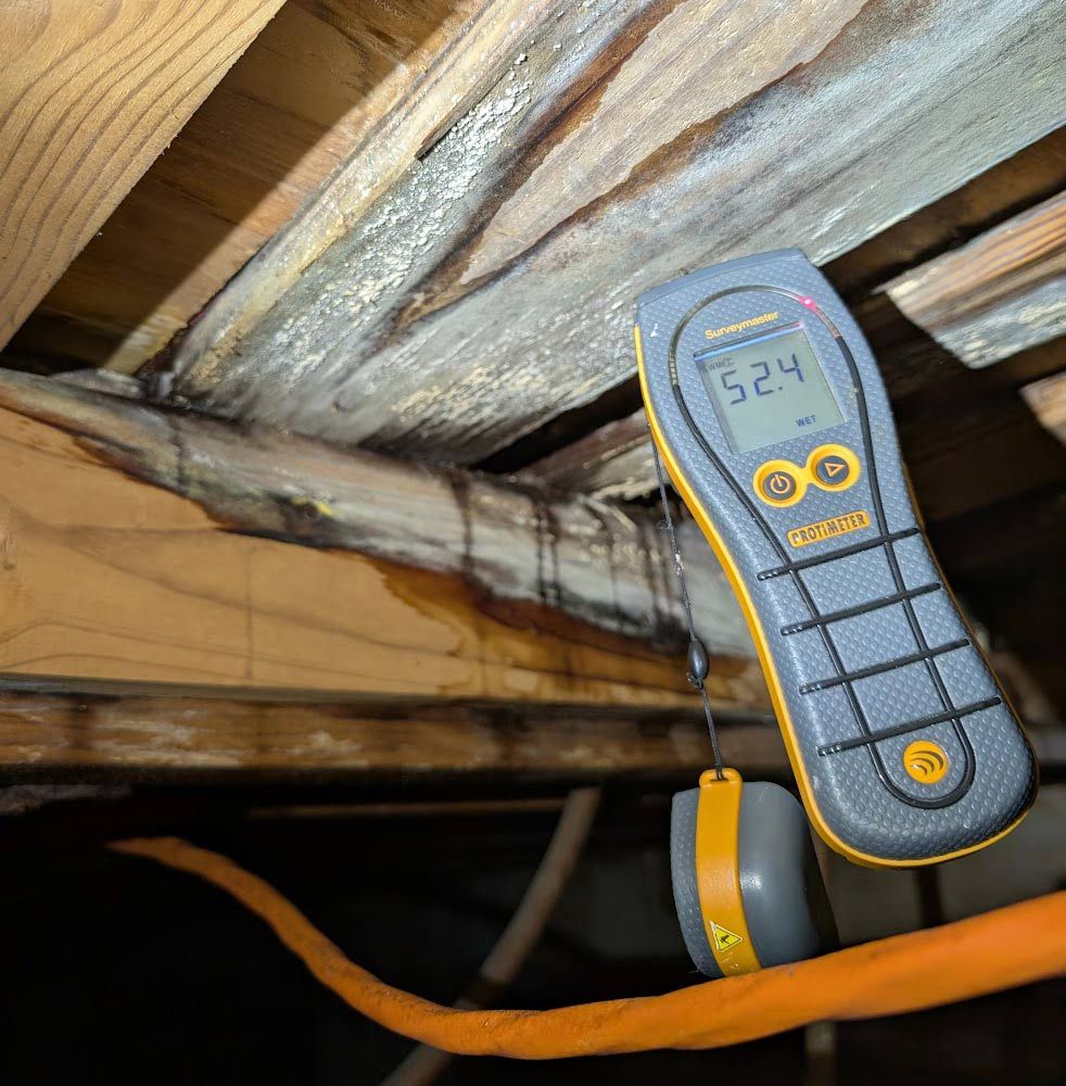 Moisture meter showing 52.4 on a water-damaged wooden beam in an attic space. Dark stains and mold present.