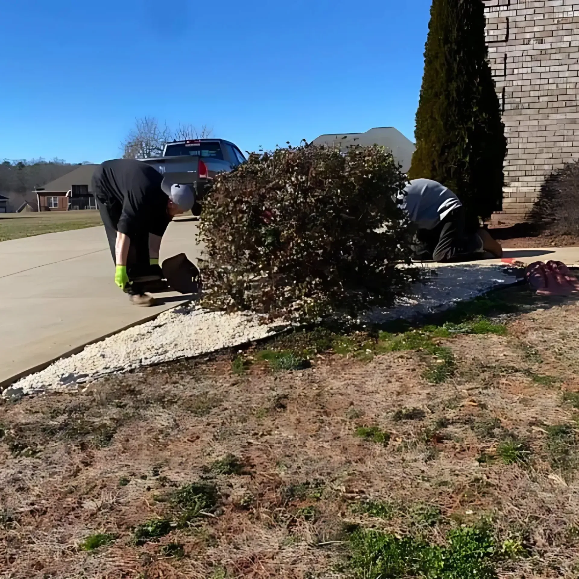 Brothers Landscaping - A man is kneeling down in front of a bush in a yard