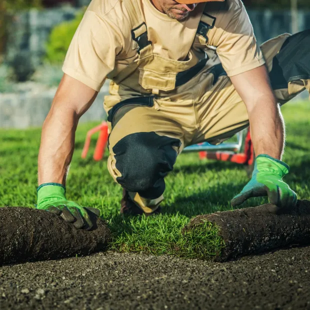 Brothers Landscaping - A man wearing green gloves is working on a lawn