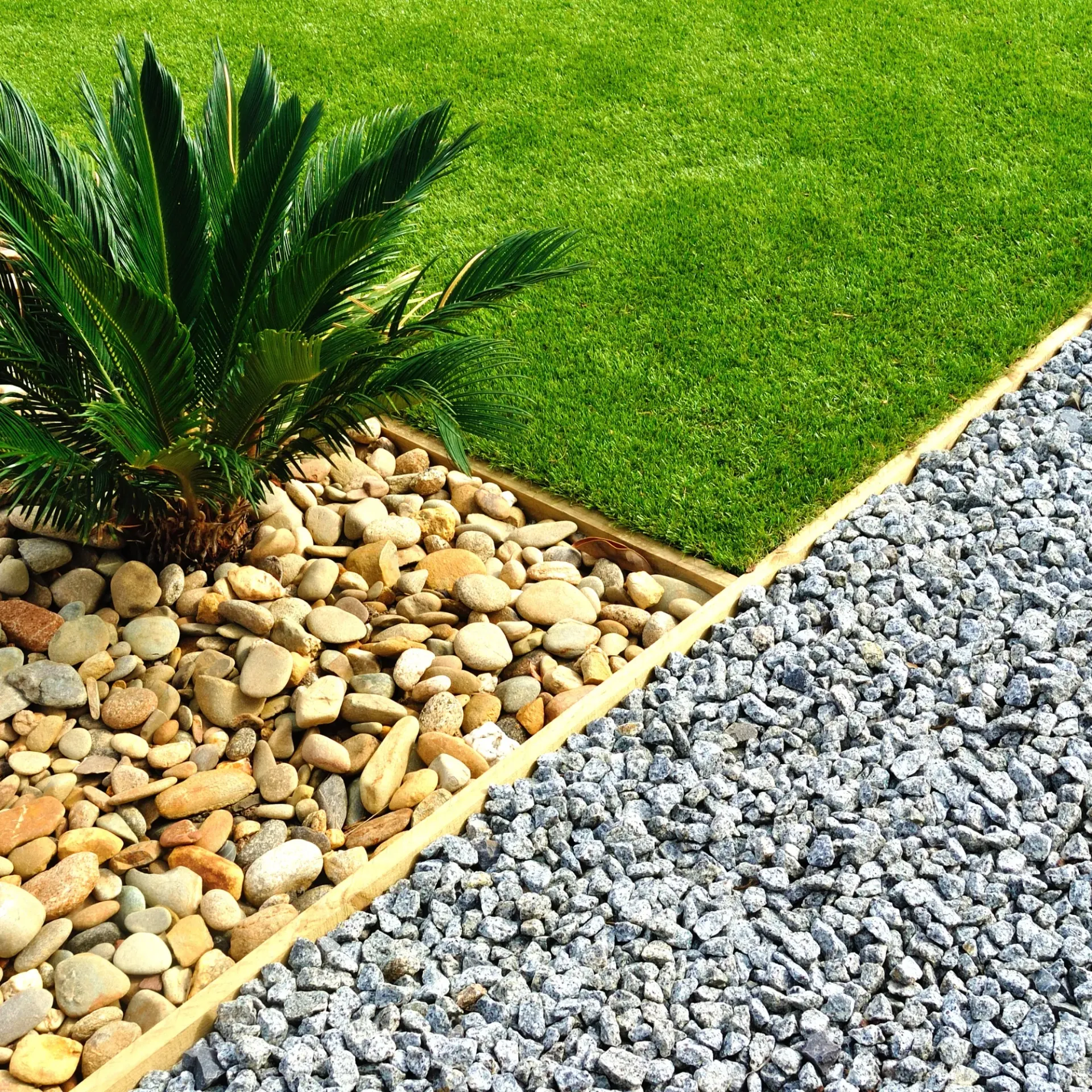 Brothers Landscaping - A garden with rocks and grass and a palm tree.