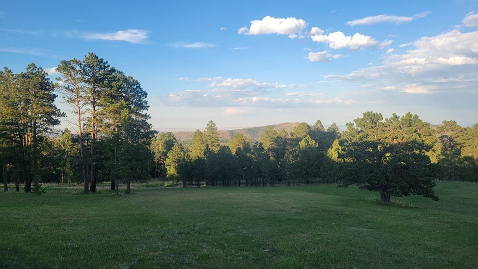 Exterior view of green trees, green grass, blue sky & fluffy white clouds