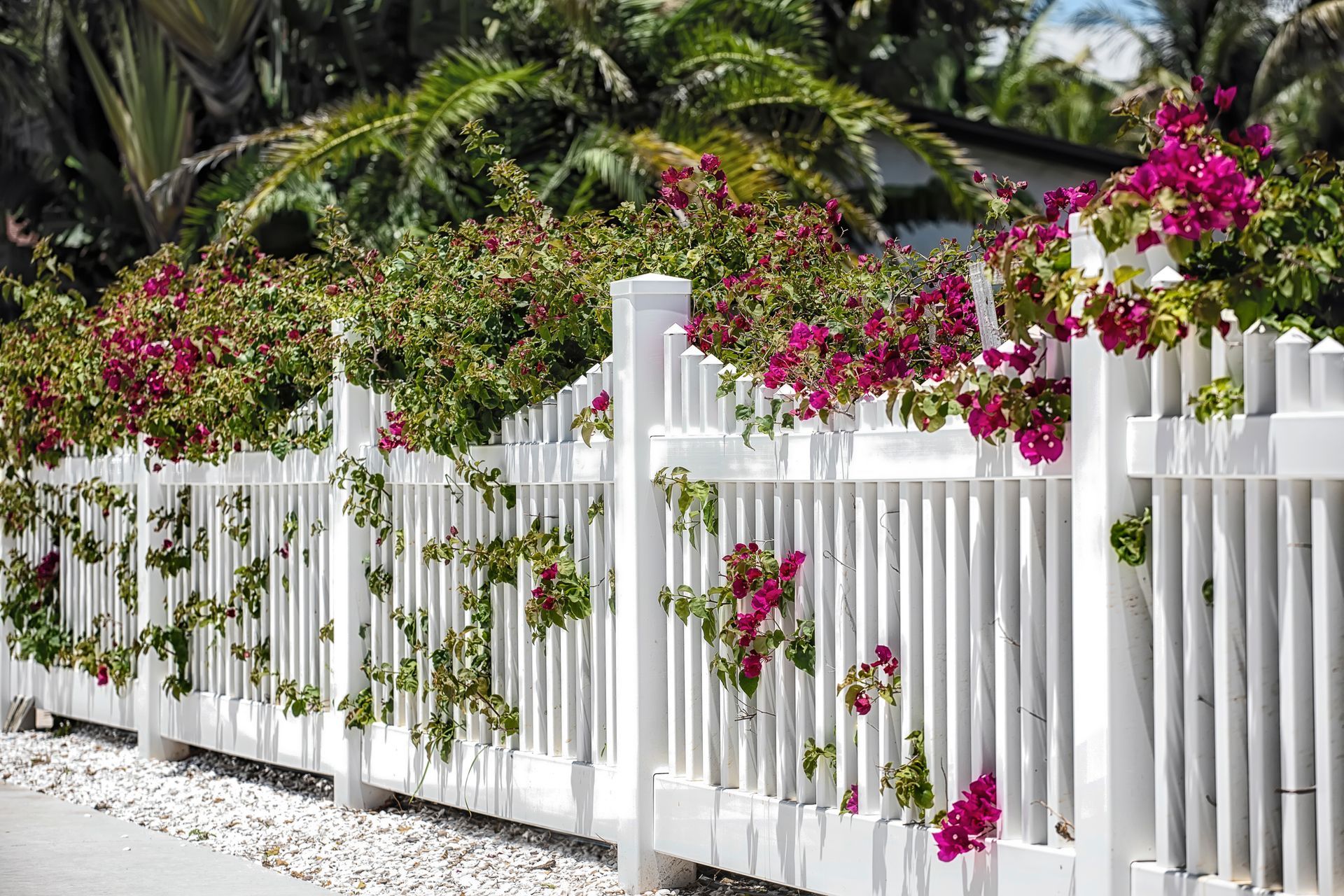 White picket fence with pink flowers and green foliage