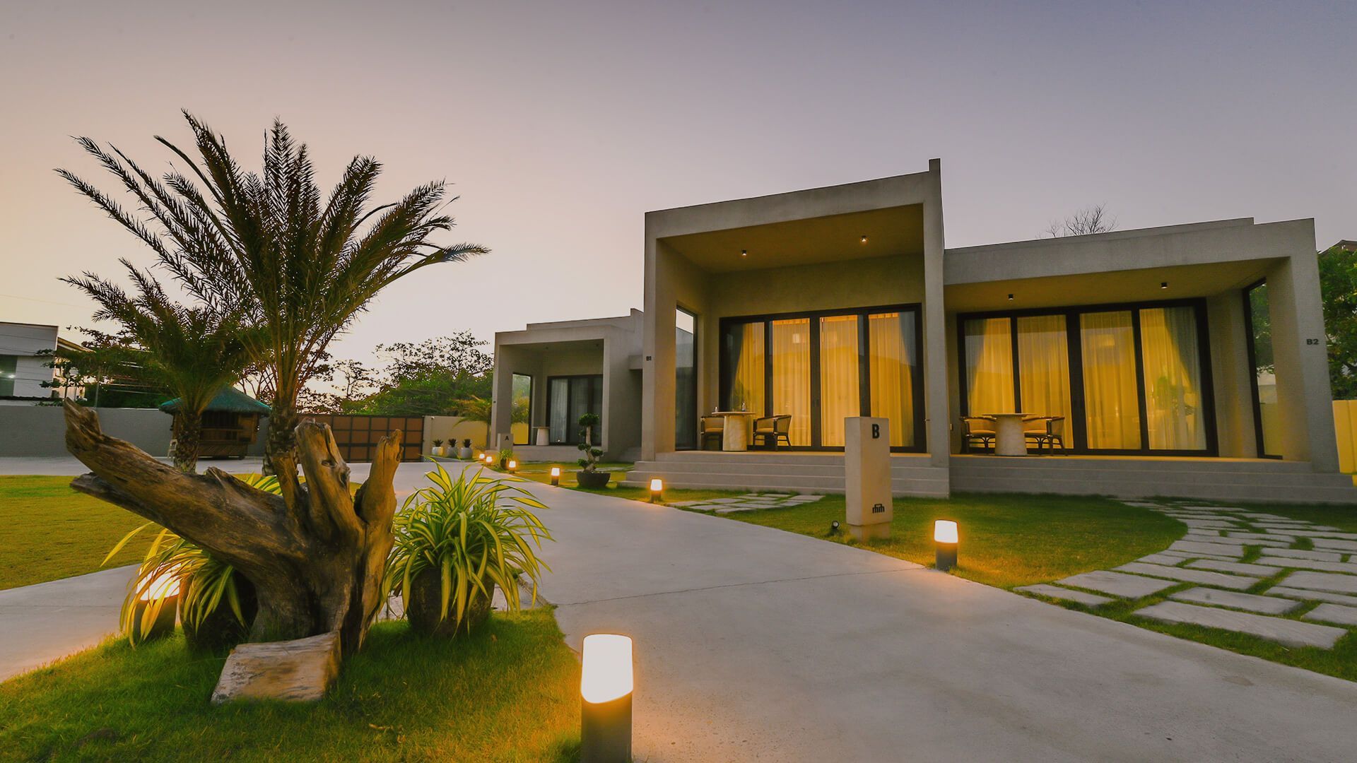 A modern house with a lot of windows and a palm tree in front of it.