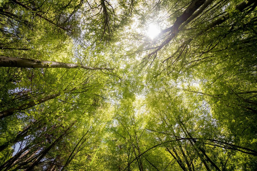 Transform Your Life with Jill Steele Hypnotherapy