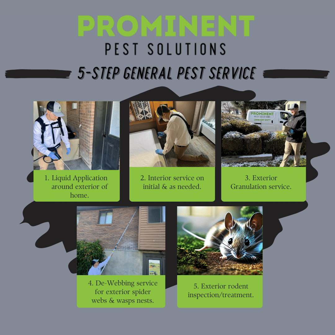 A poster for prominent pest solutions 5 step general pest service