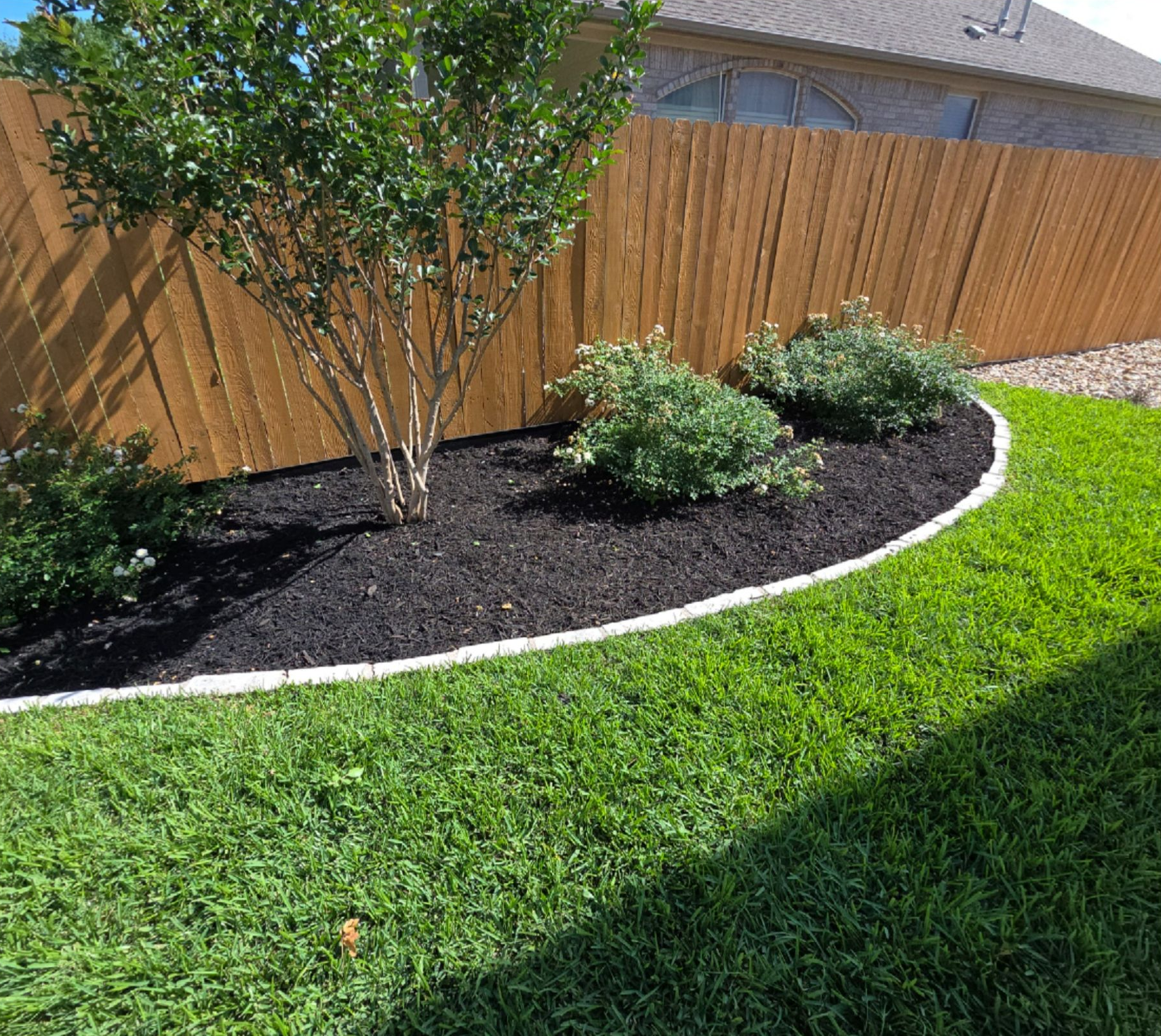 Backyard garden bed with shrubs and a small tree bordered by white edging and black mulch beside a wooden fence