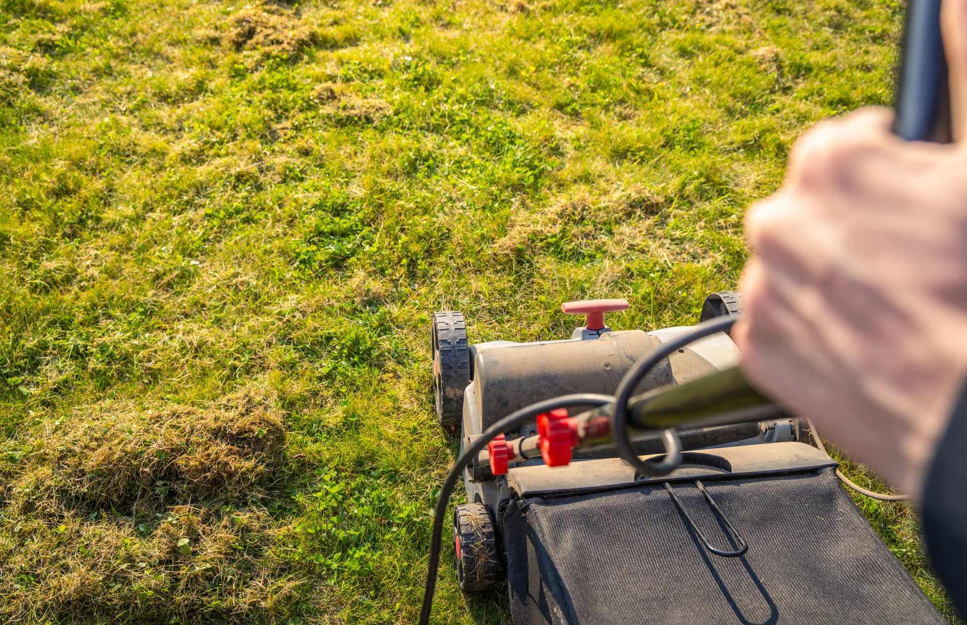 Hand pushing a lawn mower over a grassy yard