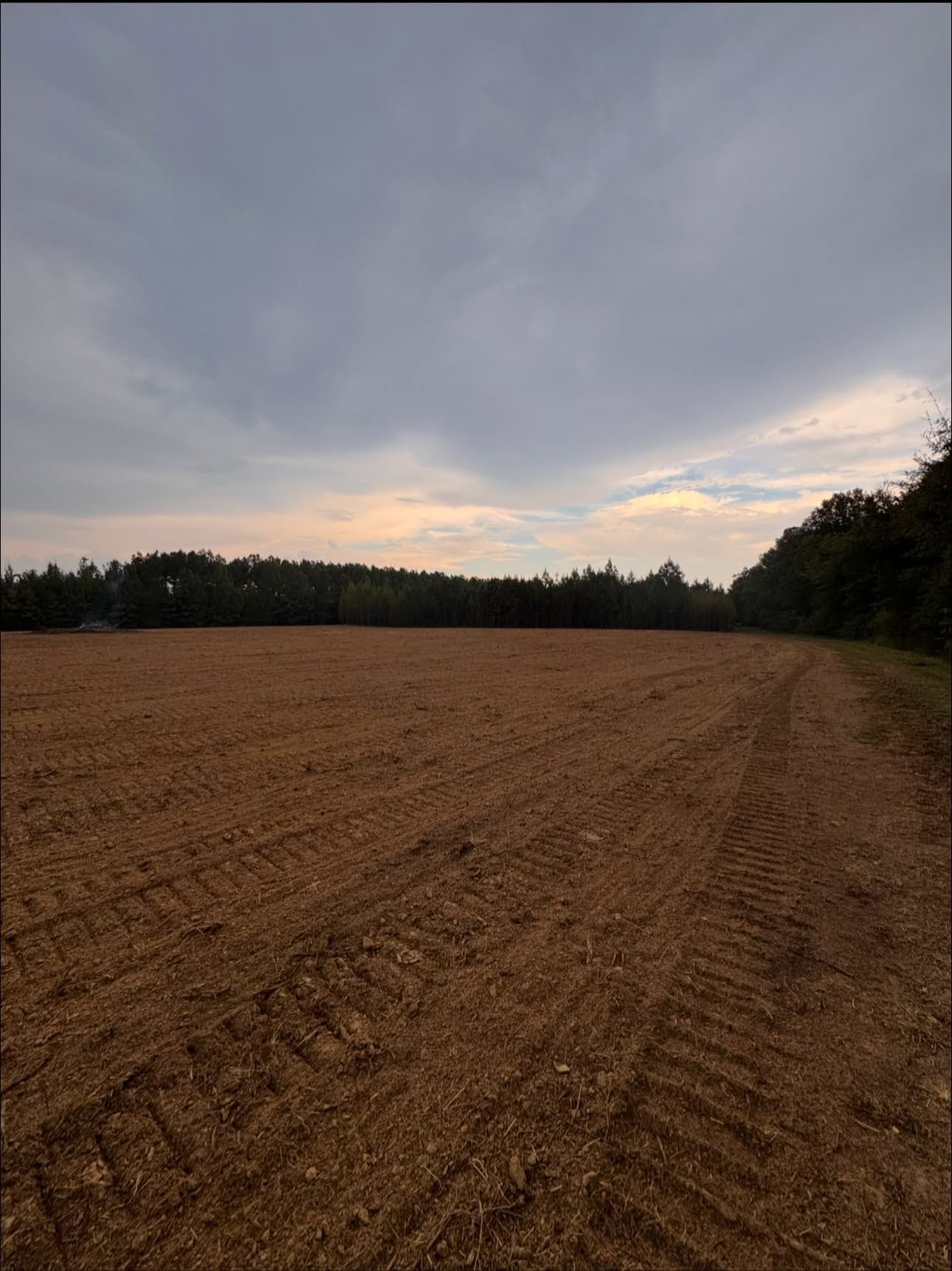 Plowed brown field under a cloudy sky, bordered by dark trees at sunset