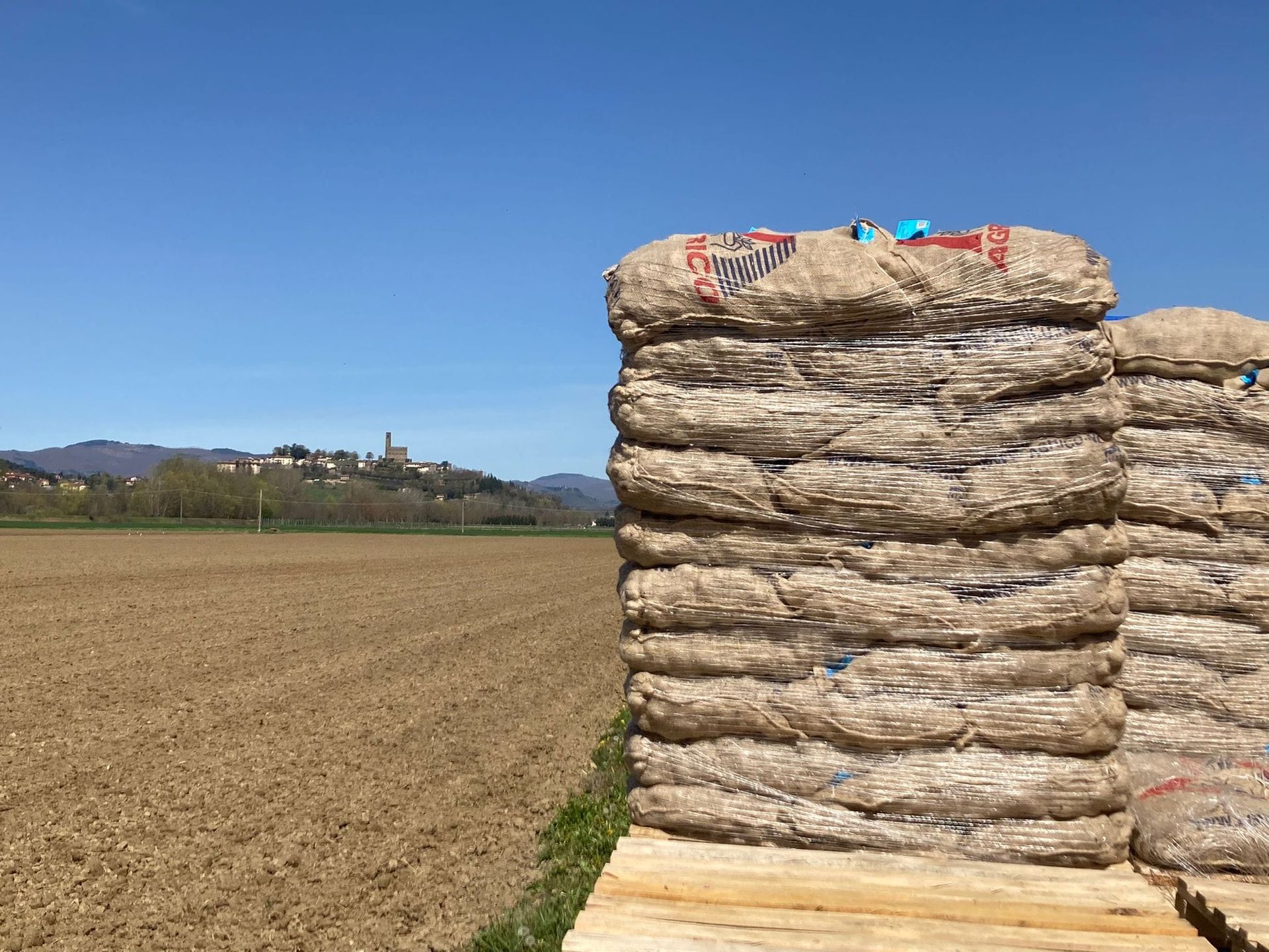 Coltivazione biologica