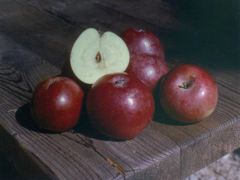 Coltivazione biologica