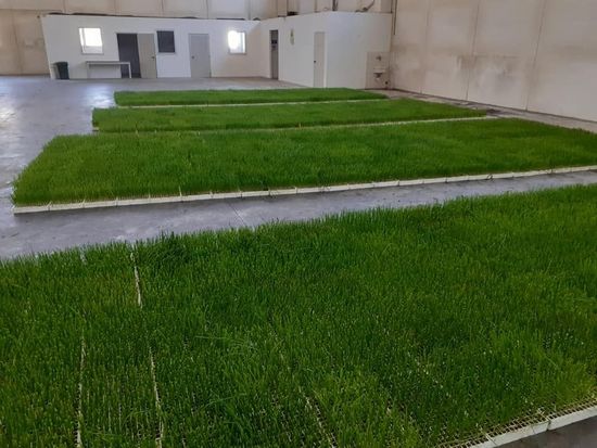 Azienda agricola