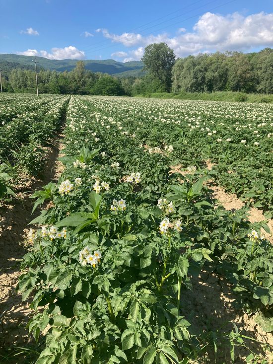 Azienda agricola