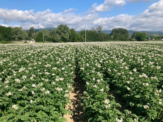 Azienda agricola