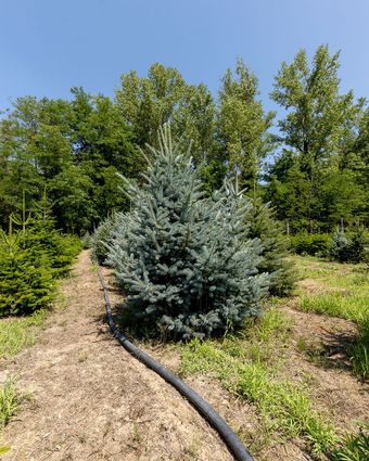 Macchine agricole