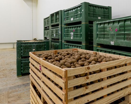 Azienda agricola vinicola
