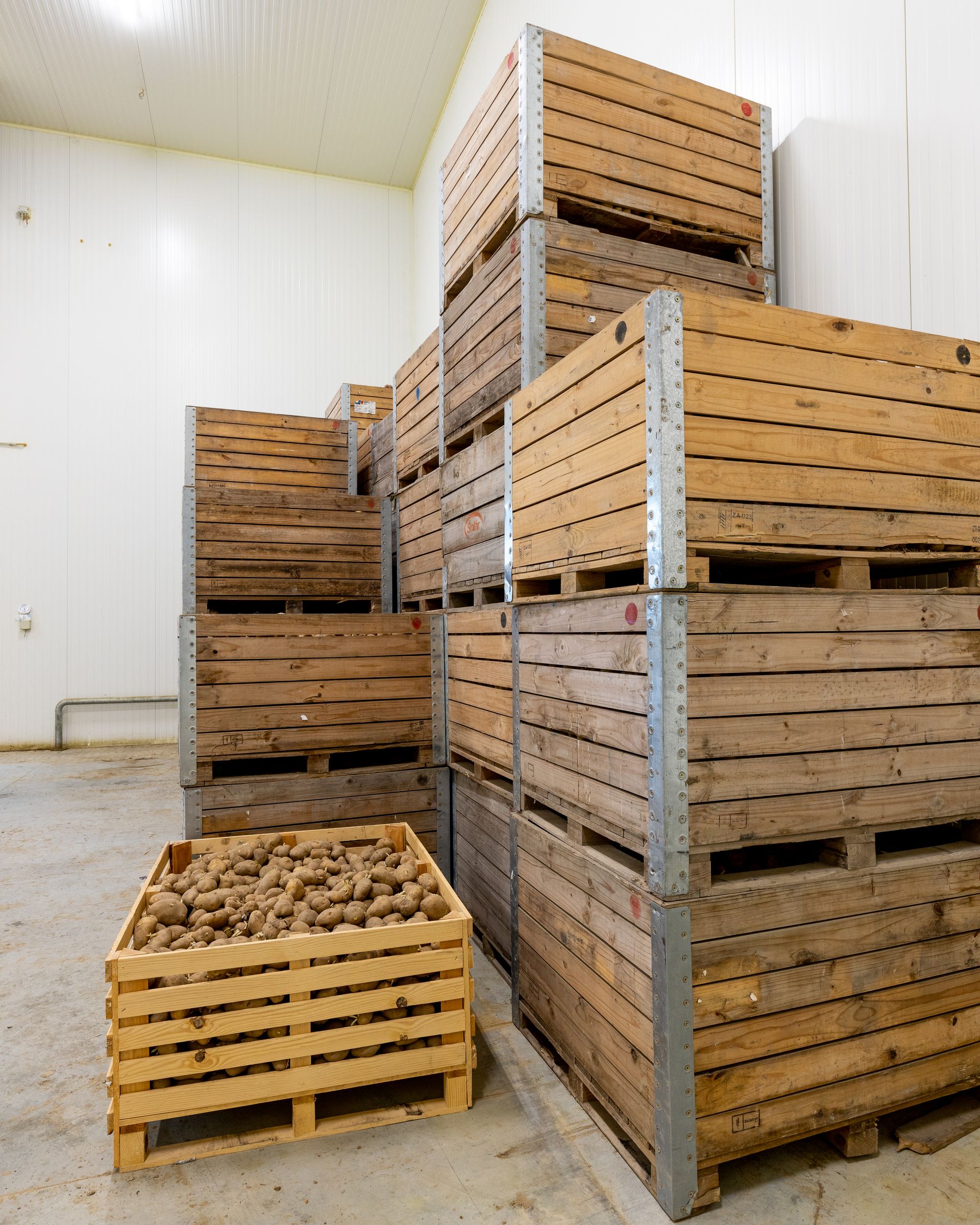 Azienda agricola di produttori di patate