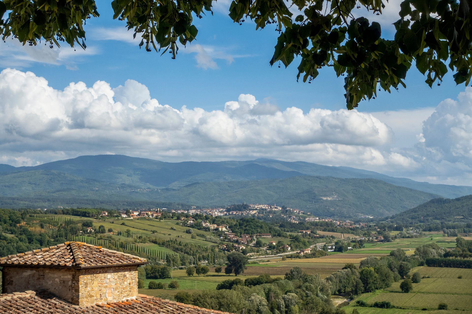 Coltivazione biologica