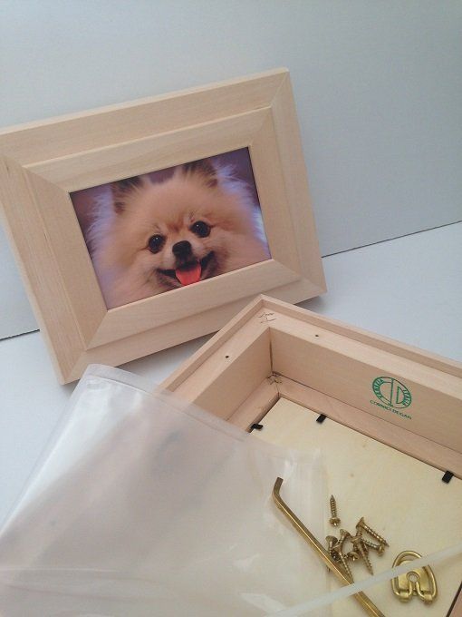 urne cinerarie per animali