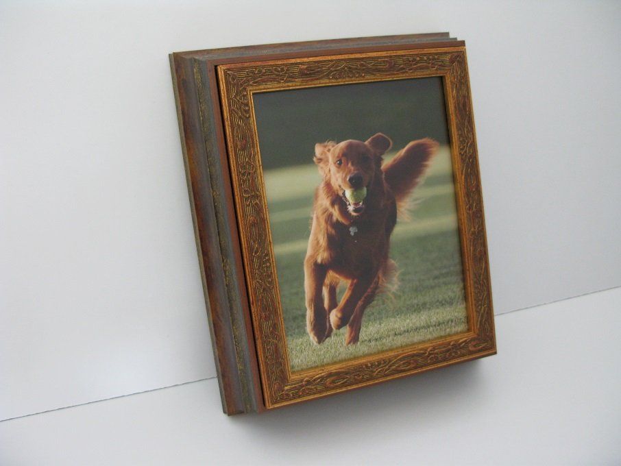 urna cineraria per animali