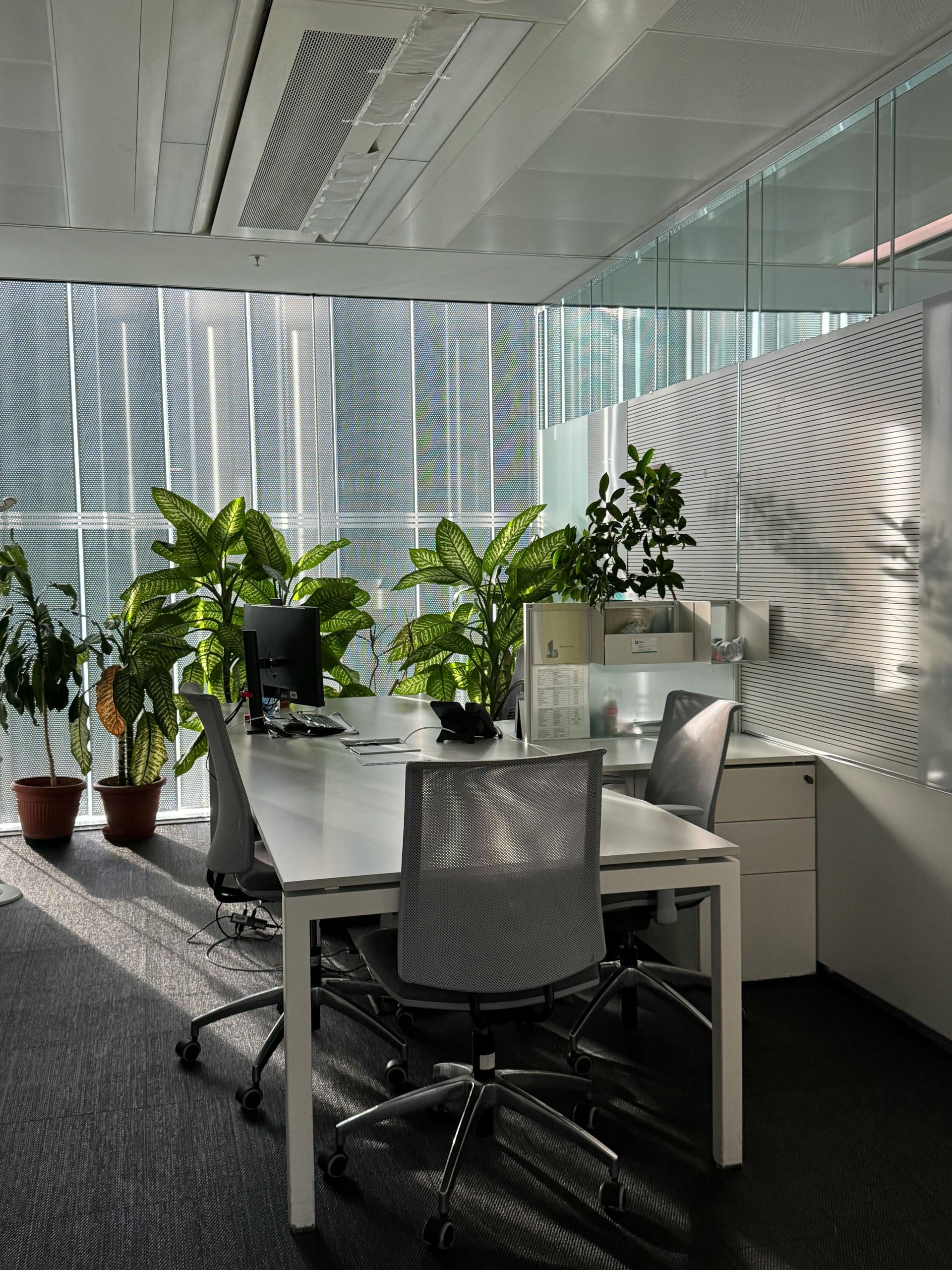 Modern office with white desks, mesh chairs, and green plants by a sunlit glass wall