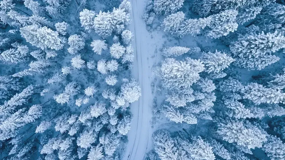 An aerial view of a snowy forest with a road going through it.