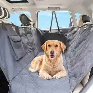 A dog is laying in the back seat of a car.