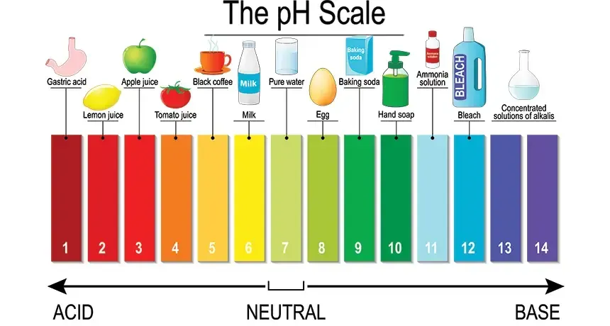 A diagram of the ph scale showing different types of foods and liquids